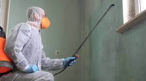 Best Mold Damage Restoration  in Bithlo, FL