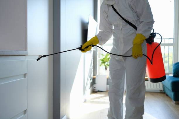 Best Biohazard Mold Removal  in Bithlo, FL